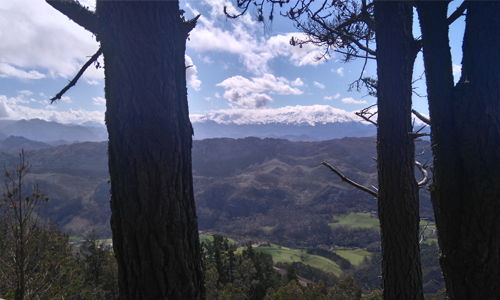 mirador el rexacu hotel rural en astturias